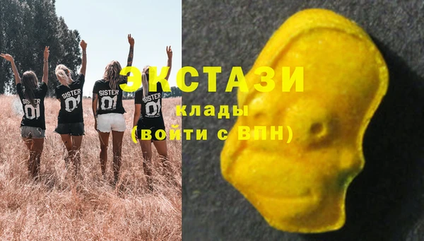 тгк Богородицк