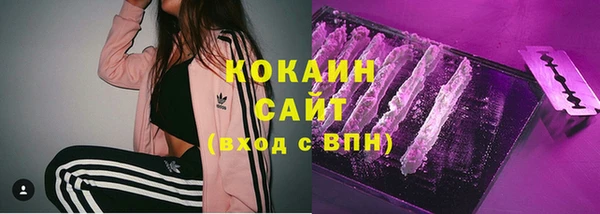 тгк Богородицк