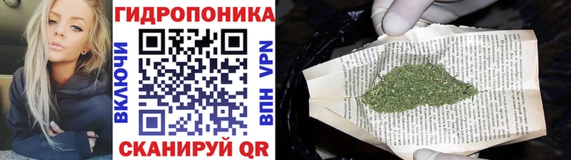 Конопля индика  Чита 